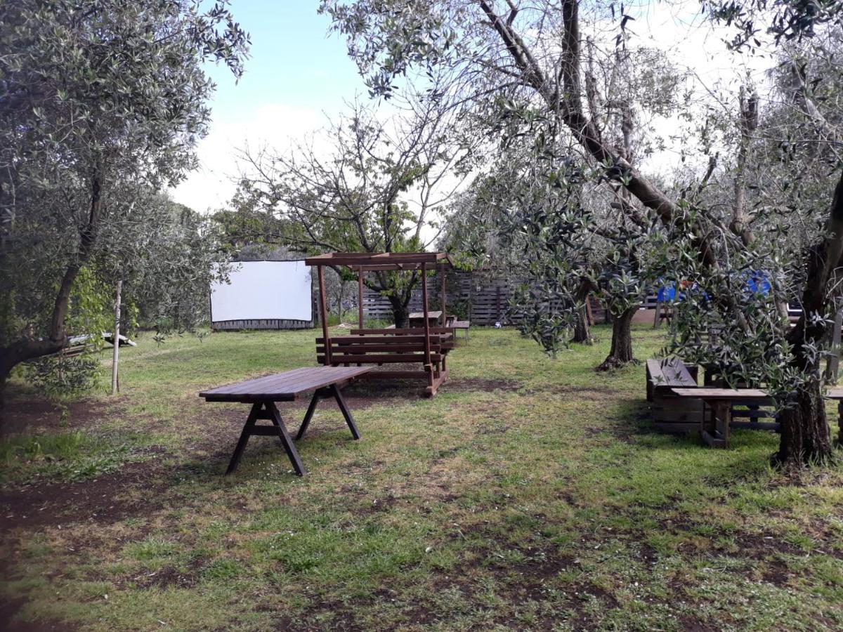 Bici Grill Decimo Miglio Aeroporto Ciampino Francigena Country House Exterior foto